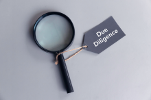 Due-Diligence-Audits